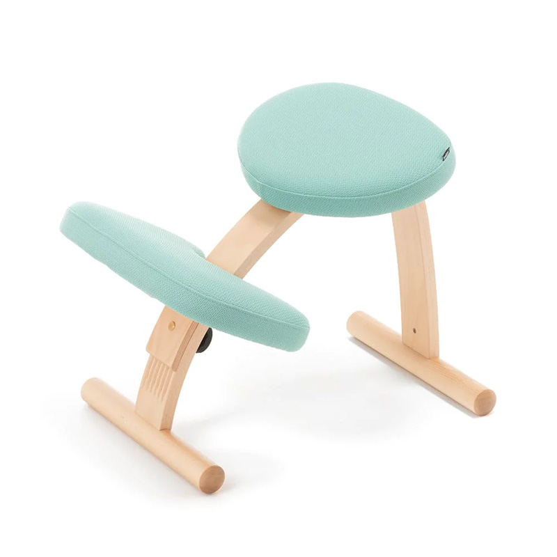 バランスラボ バランス イージー (通常フレーム) ラクに姿勢がよくなる