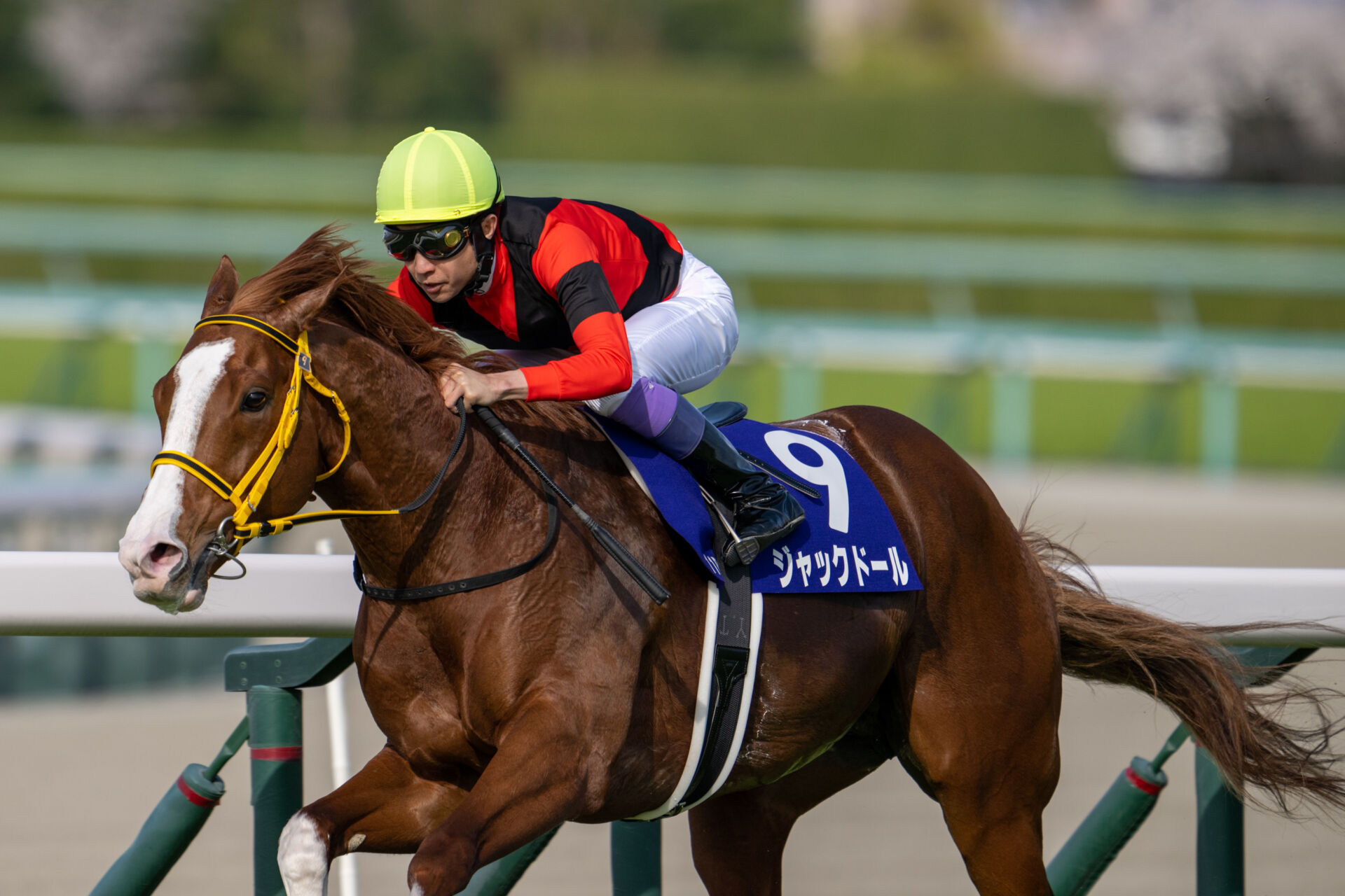 大阪杯】ジャックドールVで武豊騎手、JRA史上最年長G1制覇…「冷や冷や