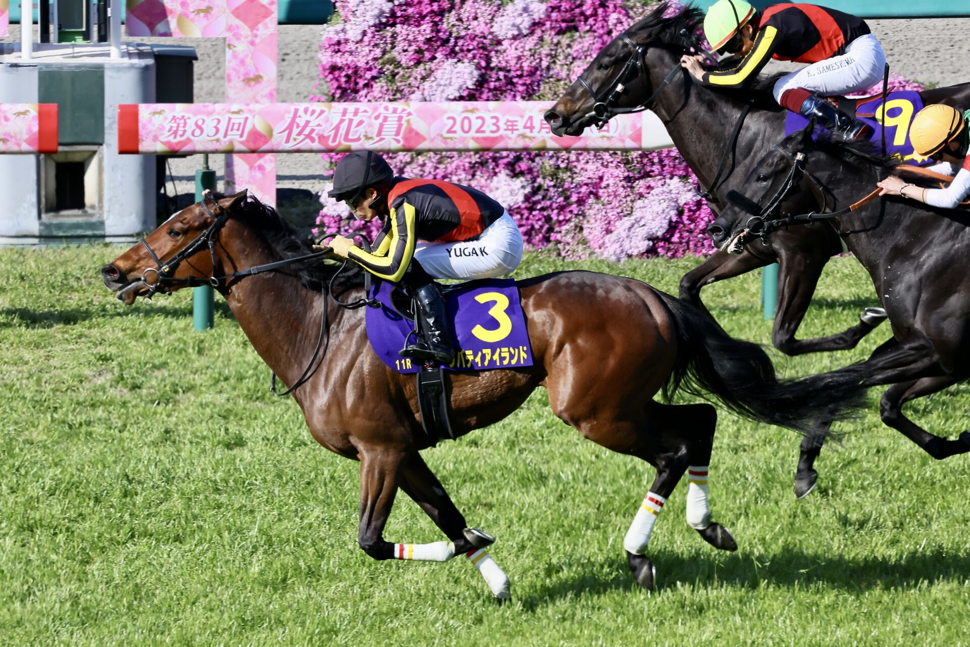 桜花賞】断然人気リバティアイランドが桜の女王に…川田「無事に届いて