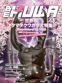 ビークワ87号（BE・KUWA） 世界のフタマタクワガタ大特集!!