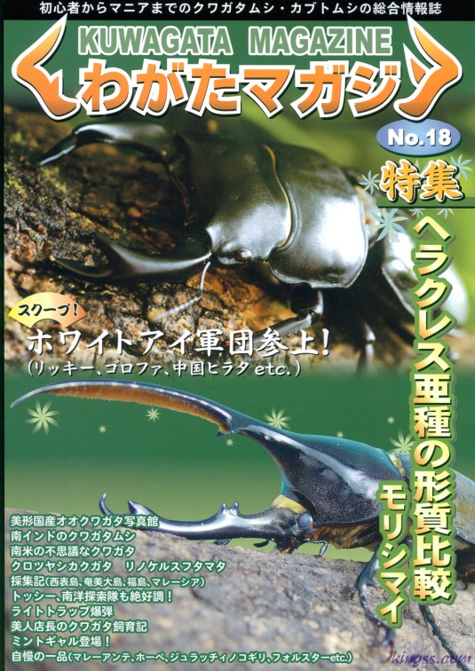 くわがたマガジン18号 ヘラクレス亜種形質比較 - モリシマイ