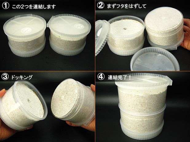 CONEX クワガタ飼育用の連結ボトルの販売