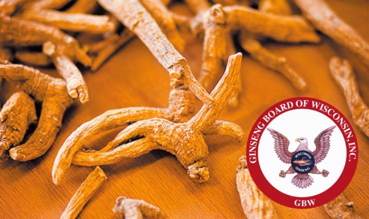 eye_american-ginseng_w830-