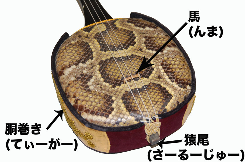 アジアの楽器図鑑