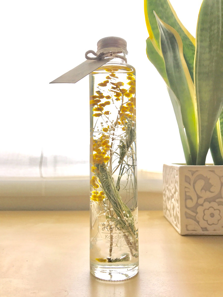ミモザの輝きハーバリウム 長持ちする美しさ