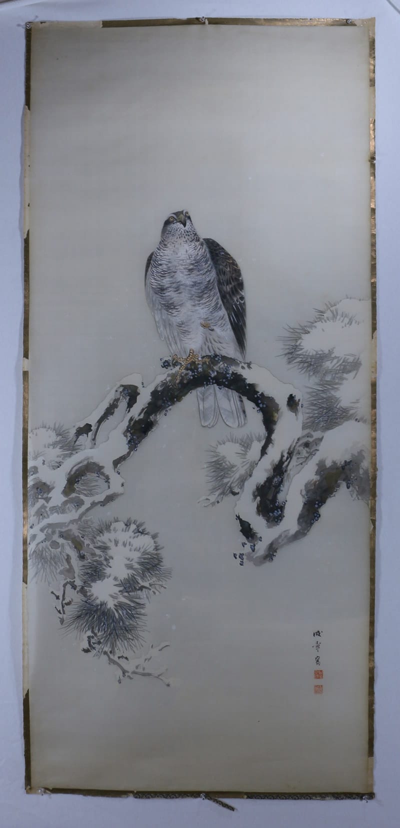 雪中松鷹｜まくり・未表装・大幅｜新・古美術 高美堂（こうびどう