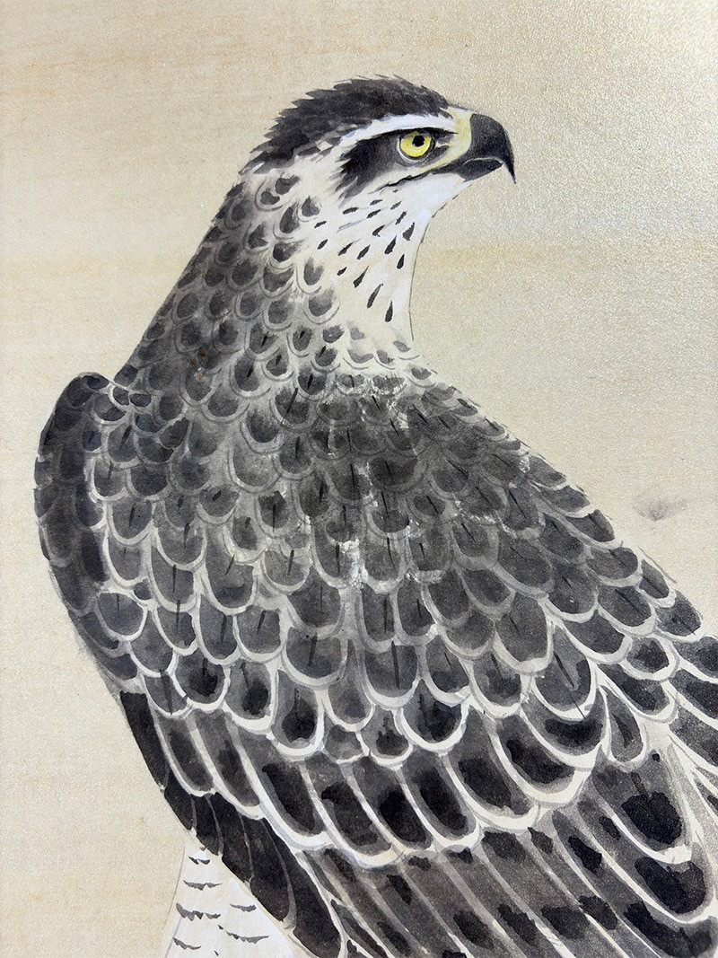 鷹｜新・古美術 高美堂（こうびどう）｜掛軸販売・通販・買取｜骨董