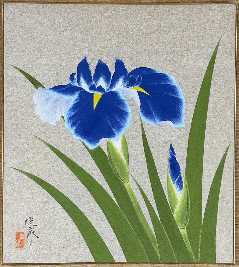 菖蒲｜新・古美術 高美堂（こうびどう）｜掛軸販売・通販・買取｜骨董