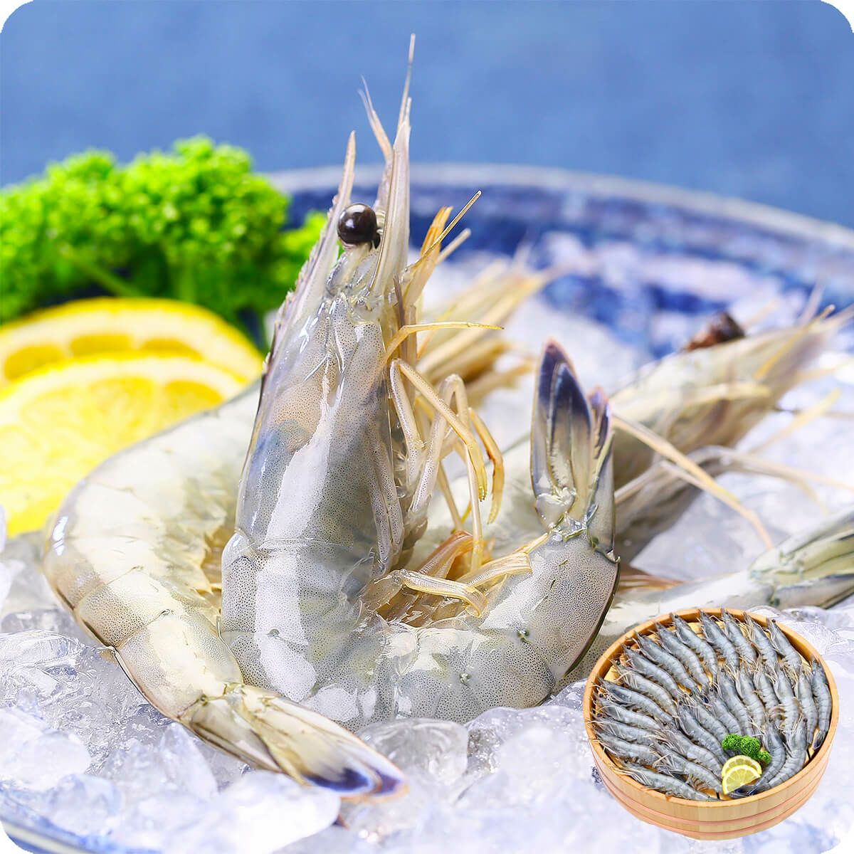 高級クルマエビを超えた！？天使の海老1kg（30～40尾入） 天使の海老