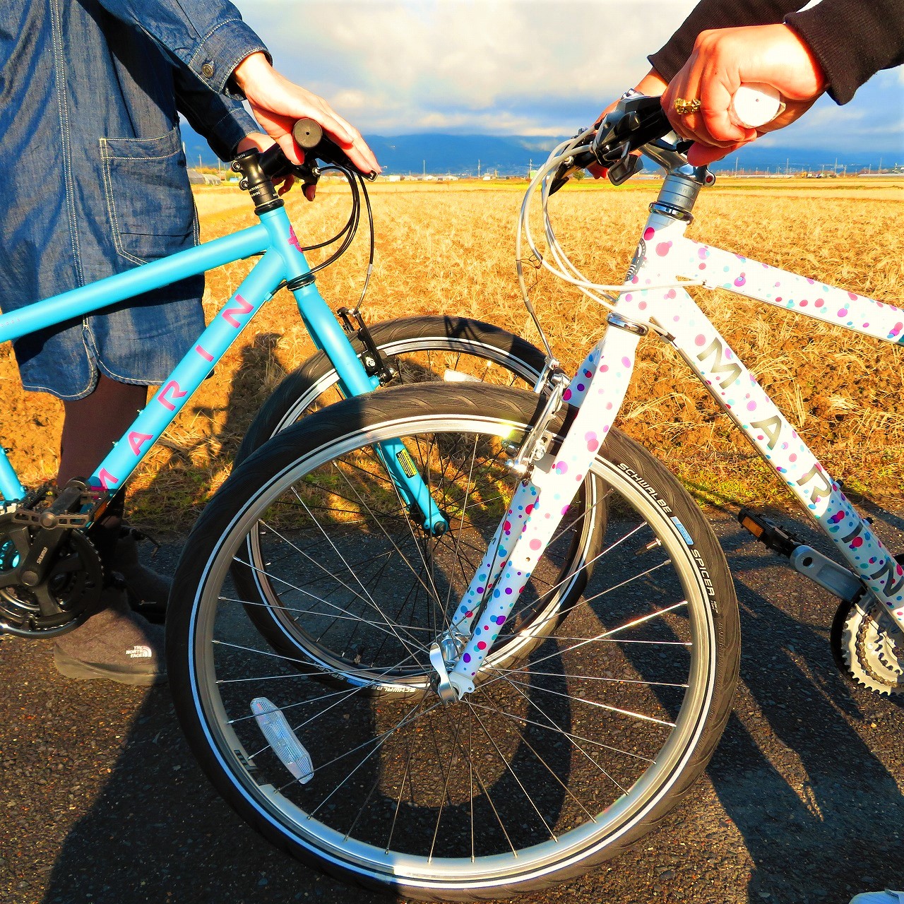 MARIN限定モデル NOVATOのご紹介 ～女性サイズのクロスバイク