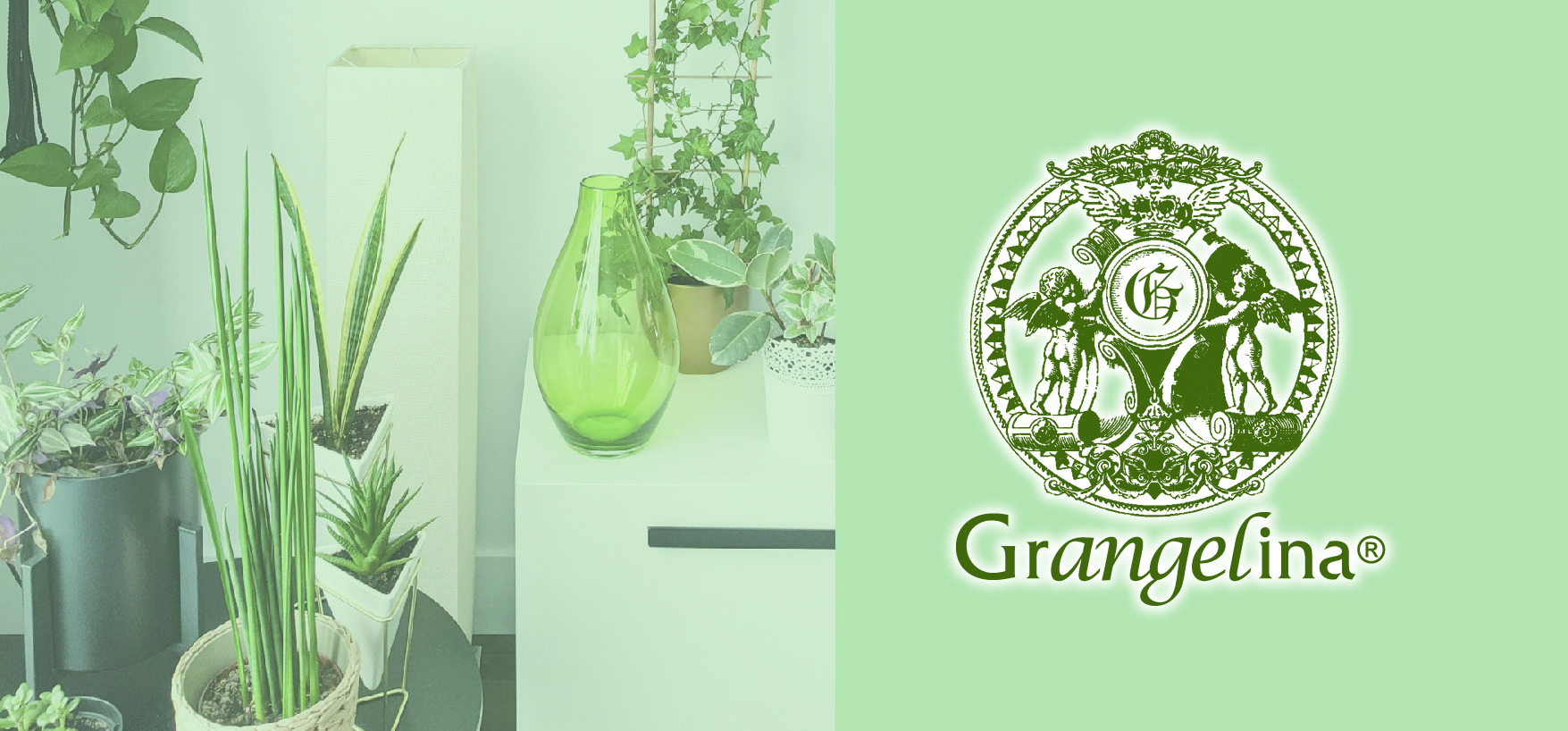 Grangelina Series | グラント・イーワンズ LALA GRANT ｜lala makes happy