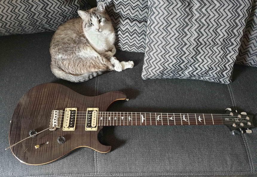 upgrading a PRS SE Custom 24 - lastpixel