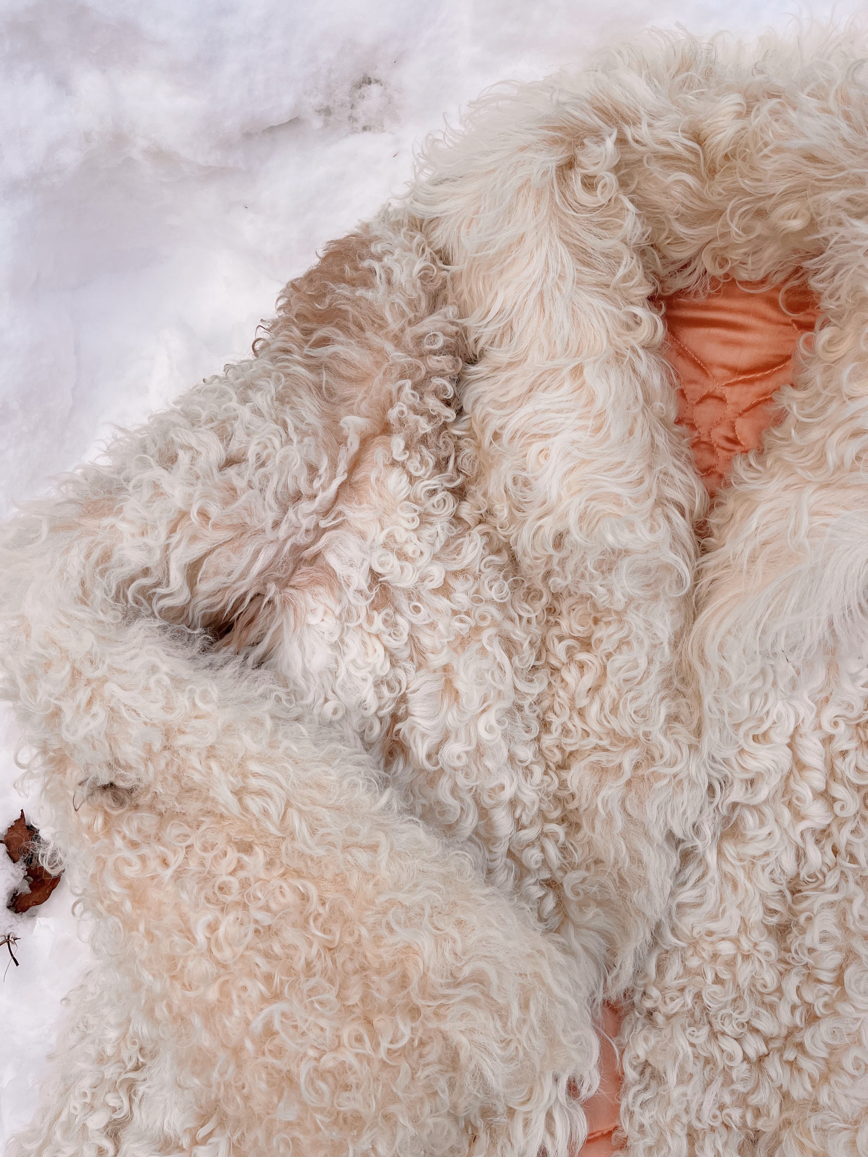 1960s Shaggy Sheepskin Coat – Last Unicorn