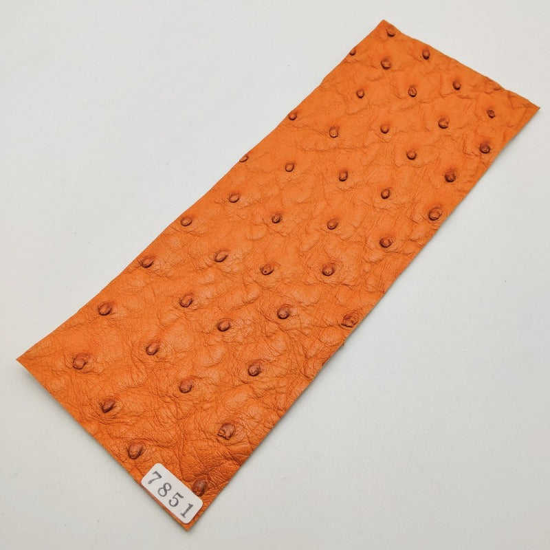miwa＊ 本物オーストリッチ革 オーストリッチ革【8×21cm/1.2mm
