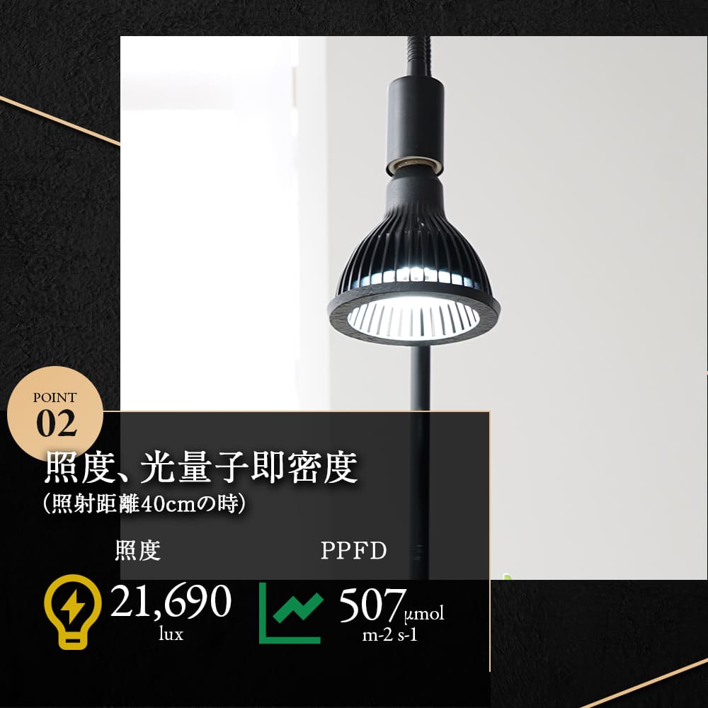 TSUKUYOMI LED 20W BLACK EDITION（ツクヨミLED ブラックエディション