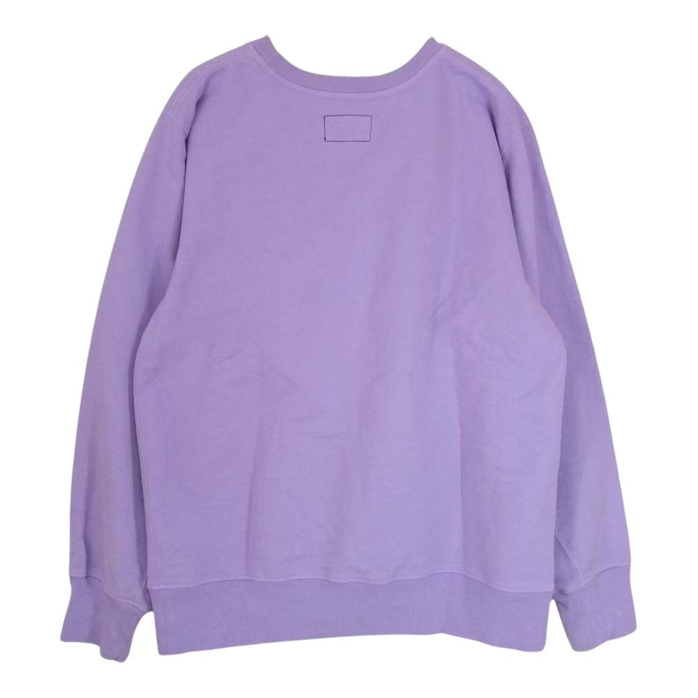 THE NORTH FACE ノースフェイス NT6903N PURPLE LABEL パープル