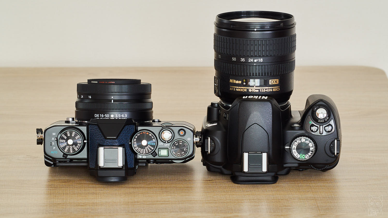 ニコンD60レビュー・作例｜レンズ込1.5万円〜の一眼レフ・濃厚な描写の