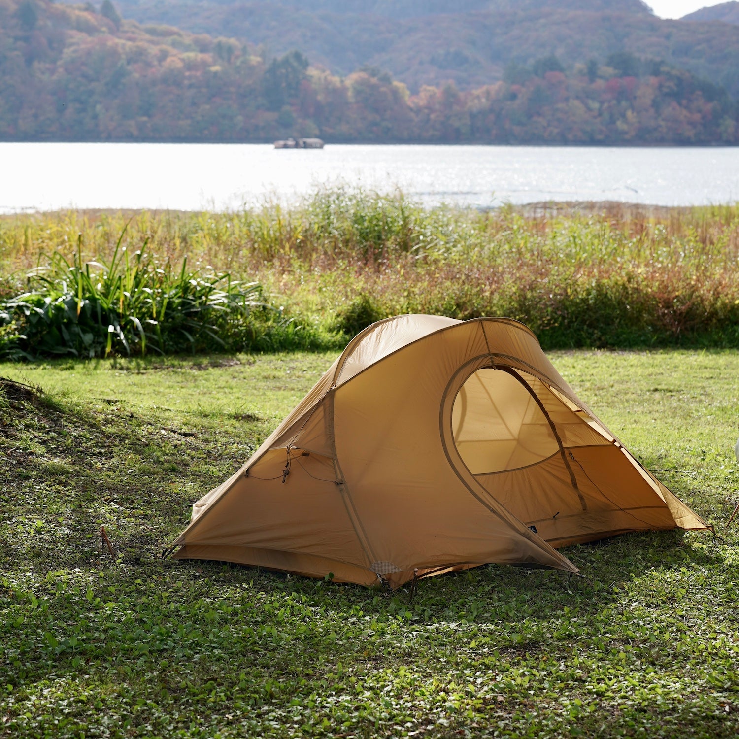 t*d様 新品 未使用 プレテント ライトロック 2P ジンジャー t*d様 新品