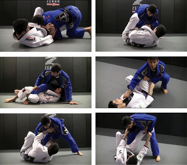 SCIENCE OF GUARD PASSING ルーカスレプリ柔術DVD The Science of