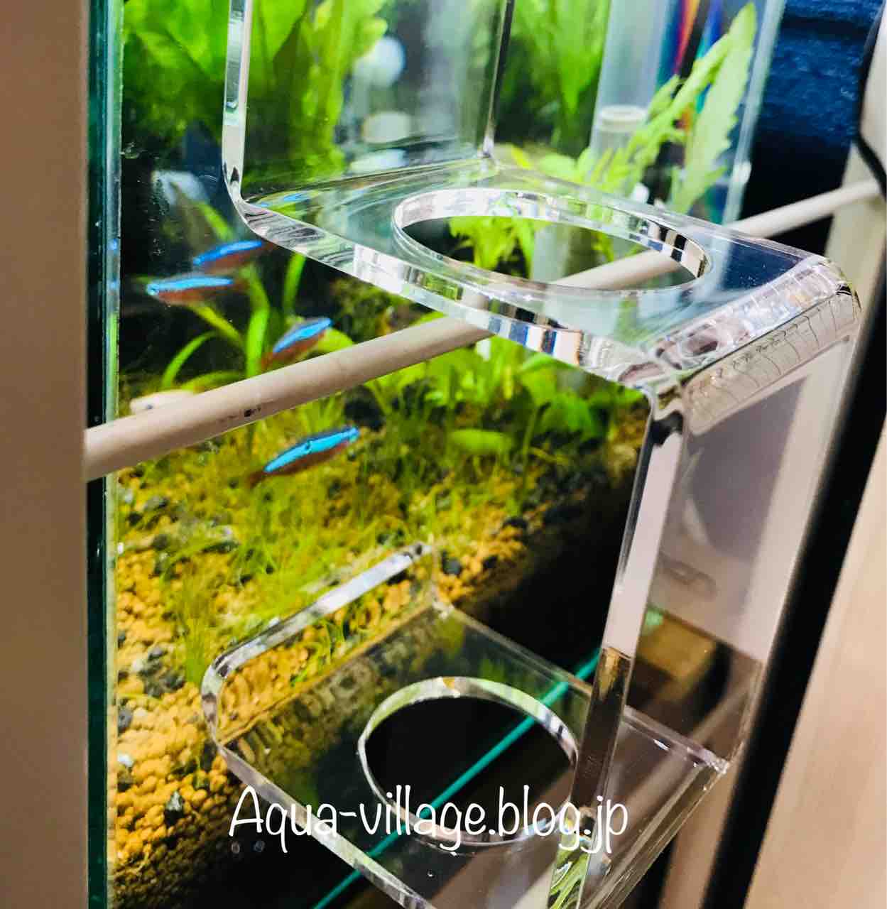 レビュー】ADA CO2アドバンスシステムフォレストを水槽に設置しました