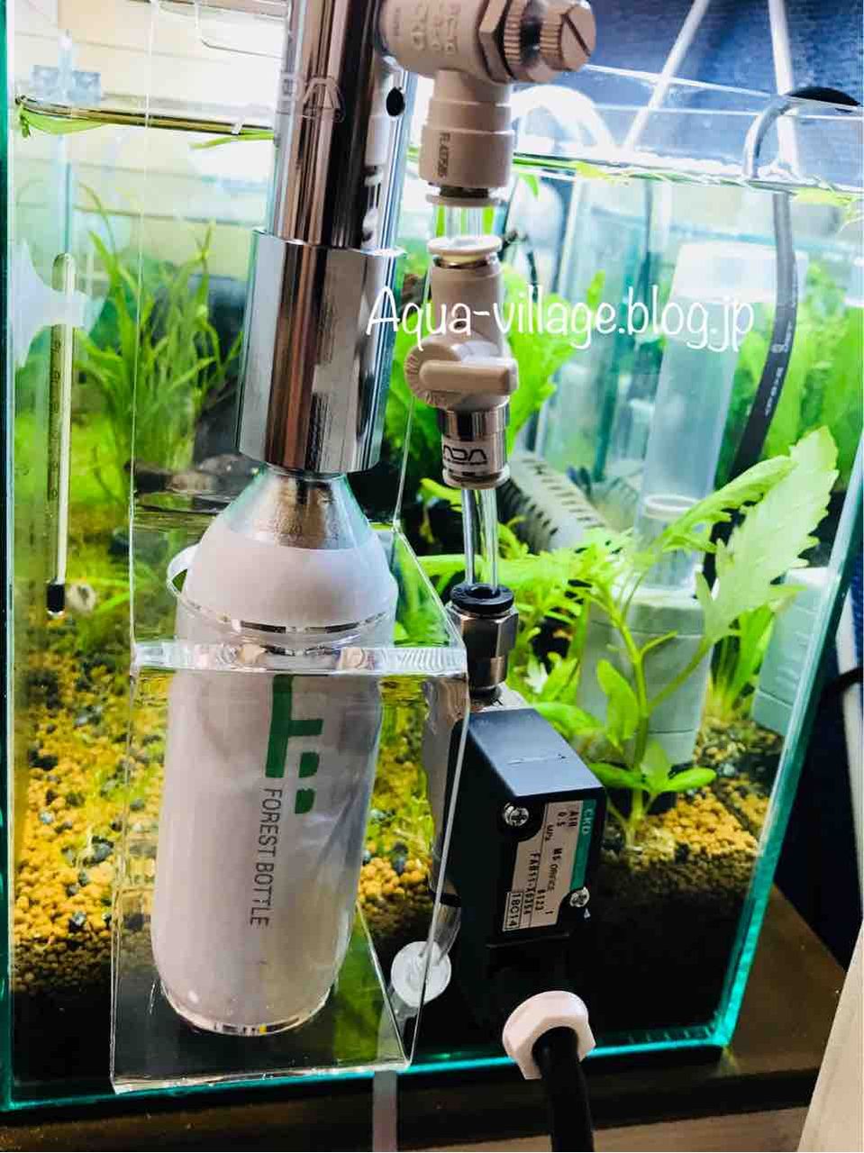 レビュー】ADA CO2アドバンスシステムフォレストを水槽に設置しました