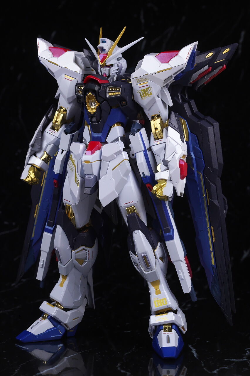 24時間以内発送】メタルビルド ストライクフリーダムガンダム 即日発送