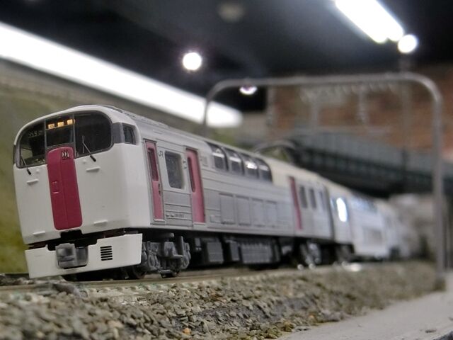 マイクロエース改 215系2次車｢ホリデー快速ビューやまなし｣ : 横浜西部