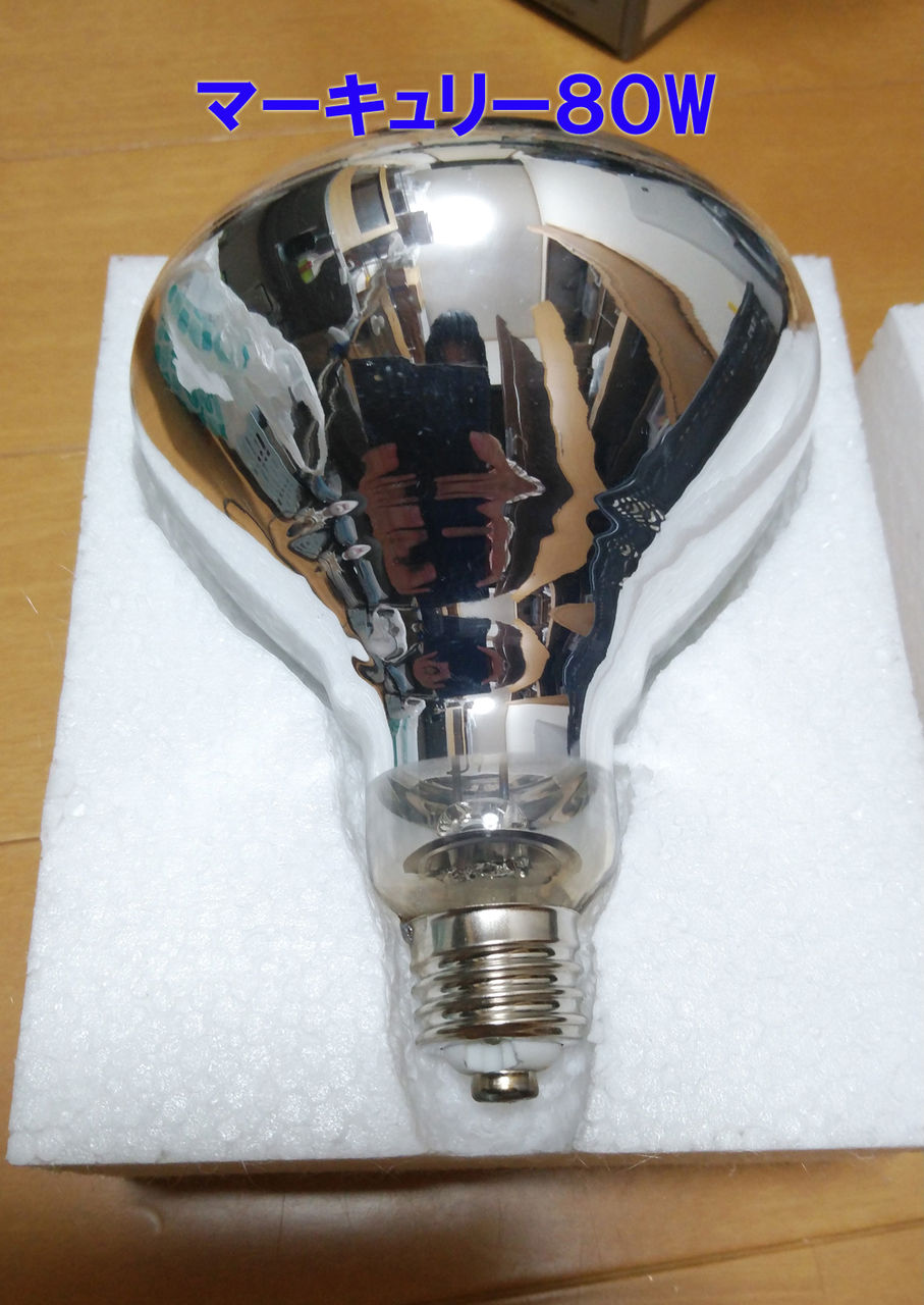 セルフバラスト水銀ランプとメタハラの比較検証！ : 悠々カメライフ