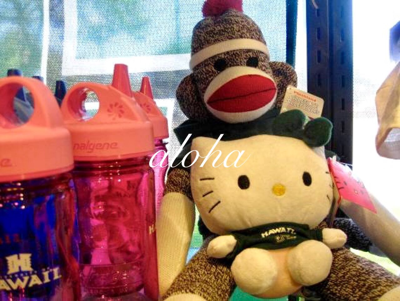 ハワイ大学の新しいバッグが発売されるみたい〜♪ : のほほん〜ハワイ