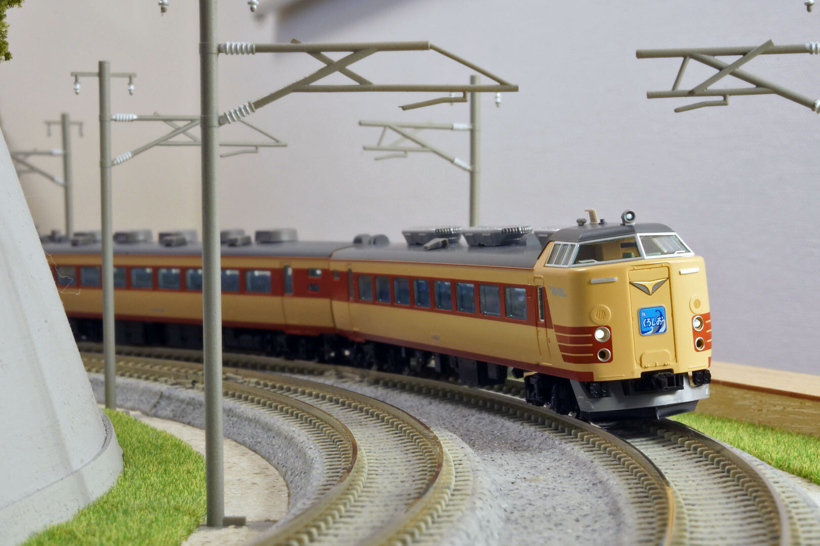 TOMIX 98384 485系「くろしお」 : どみやんの写真帳blog派出