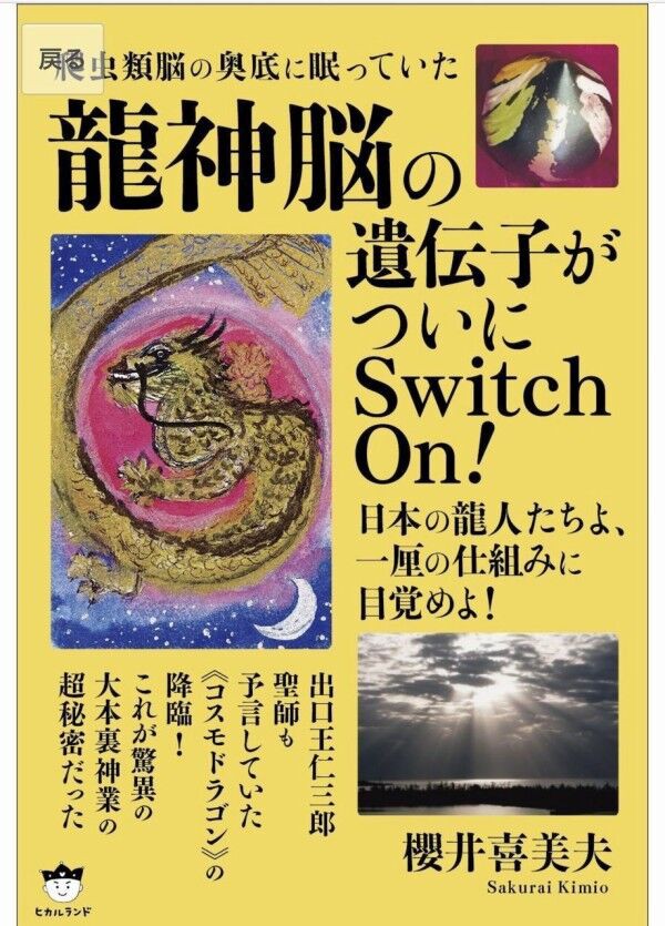 完売🙏】櫻井喜美夫先生 最新最強 ソマチッド入りテラヘルツ波