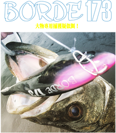 動画あり】BORDE173でコノシロパターンのラストスパート : 釣果を得る