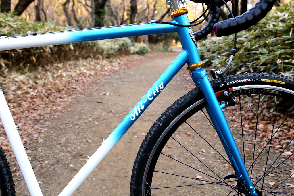 ALL-CITY* macho man / BUILT BY BLUE LUG - CUSTOMER'S BIKE CATALOG