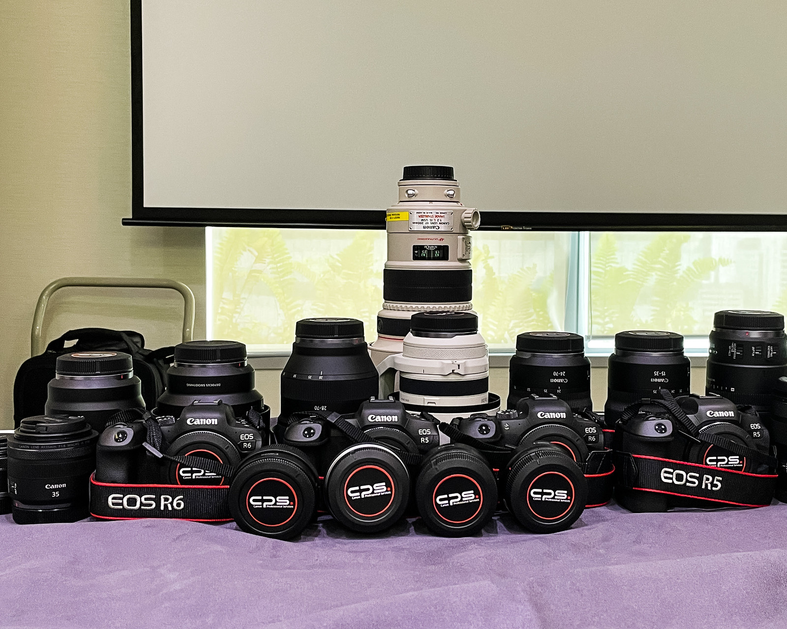The Canon R6 with RF50 f1.2L and RF35 f1.8 – A hands on review on