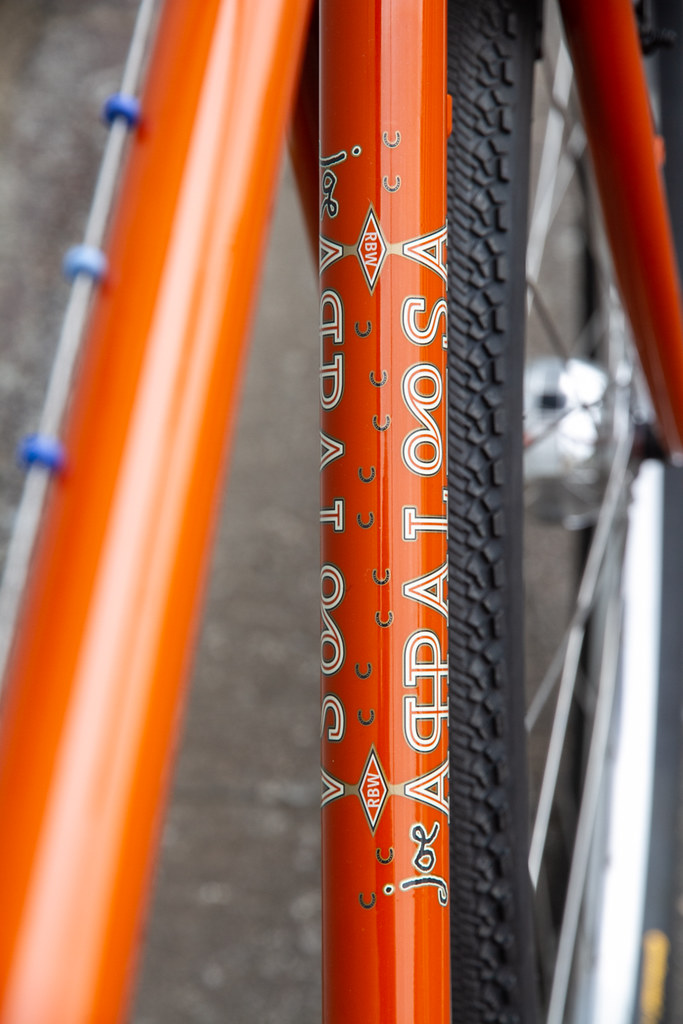 RIVENDELL* joe appaloosa / BUILT BY BLUE LUG - CUSTOMER'S BIKE