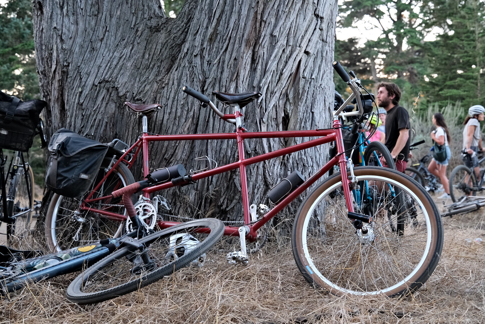OTSUMAMI is 1141 photos - BLUE LUG BLOG | 自転車店 ブルーラグ