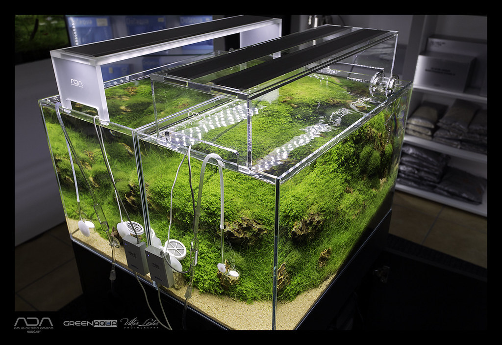 ADA Aquasky Moon 601 | Aquasky Moon is here from ADA Japan! … | Flickr