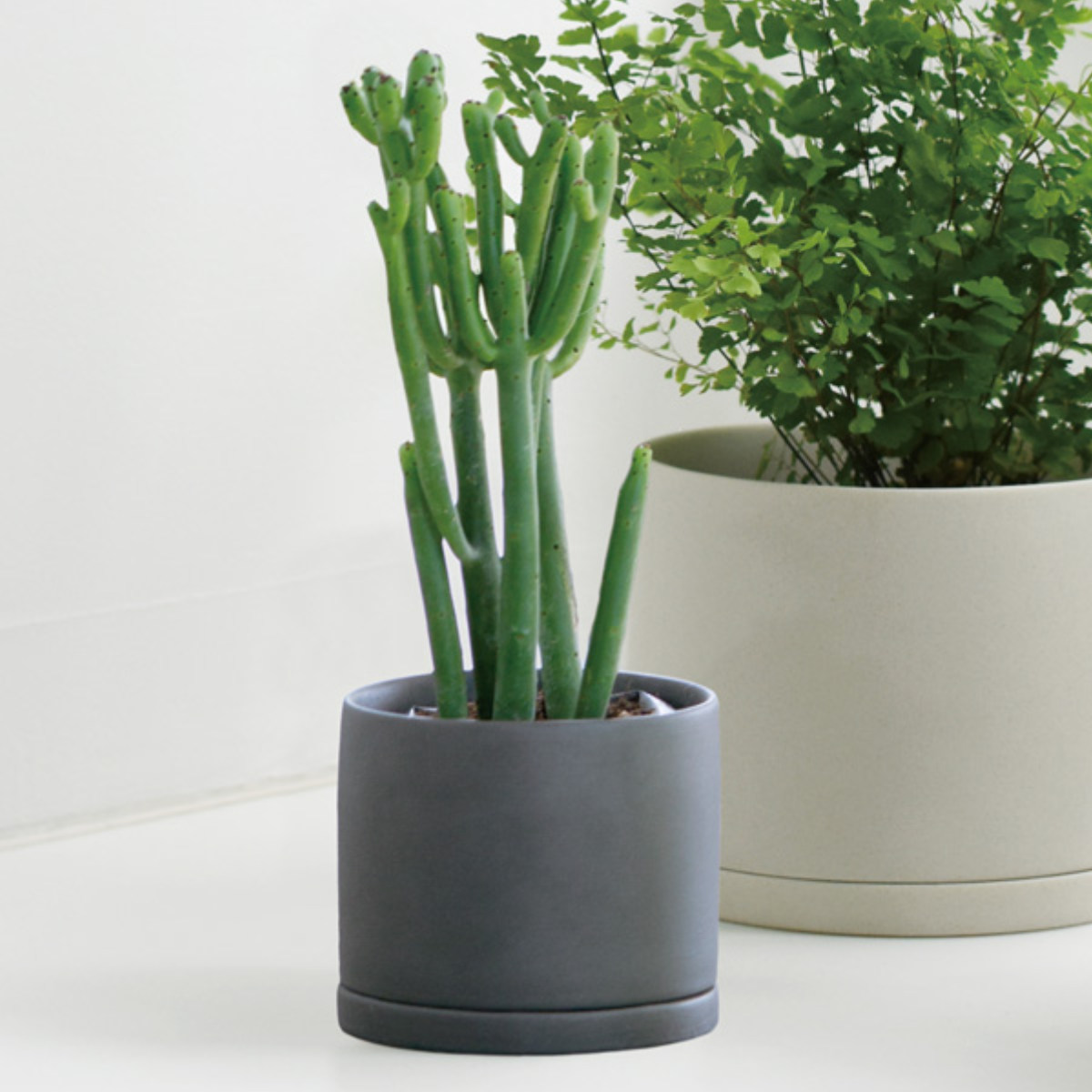 コーマ‼️小さな植木鉢 100個セット コーマ‼️小さな植木鉢 100個