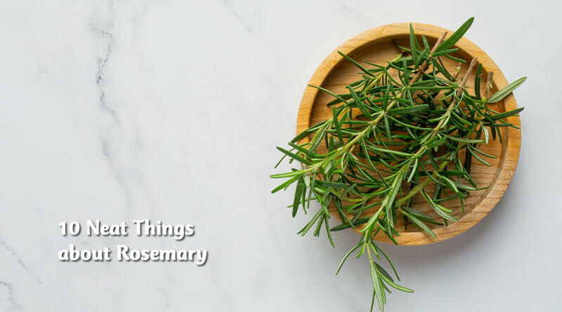 About Rosemary - Canada's Local Gardener magazine