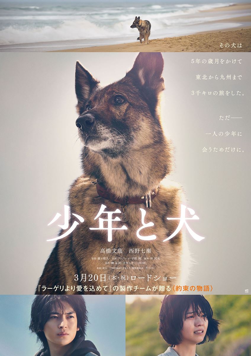 高橋文哉×西野七瀬ダブル主演『少年と犬』公開日決定 特報＆ビジュアル