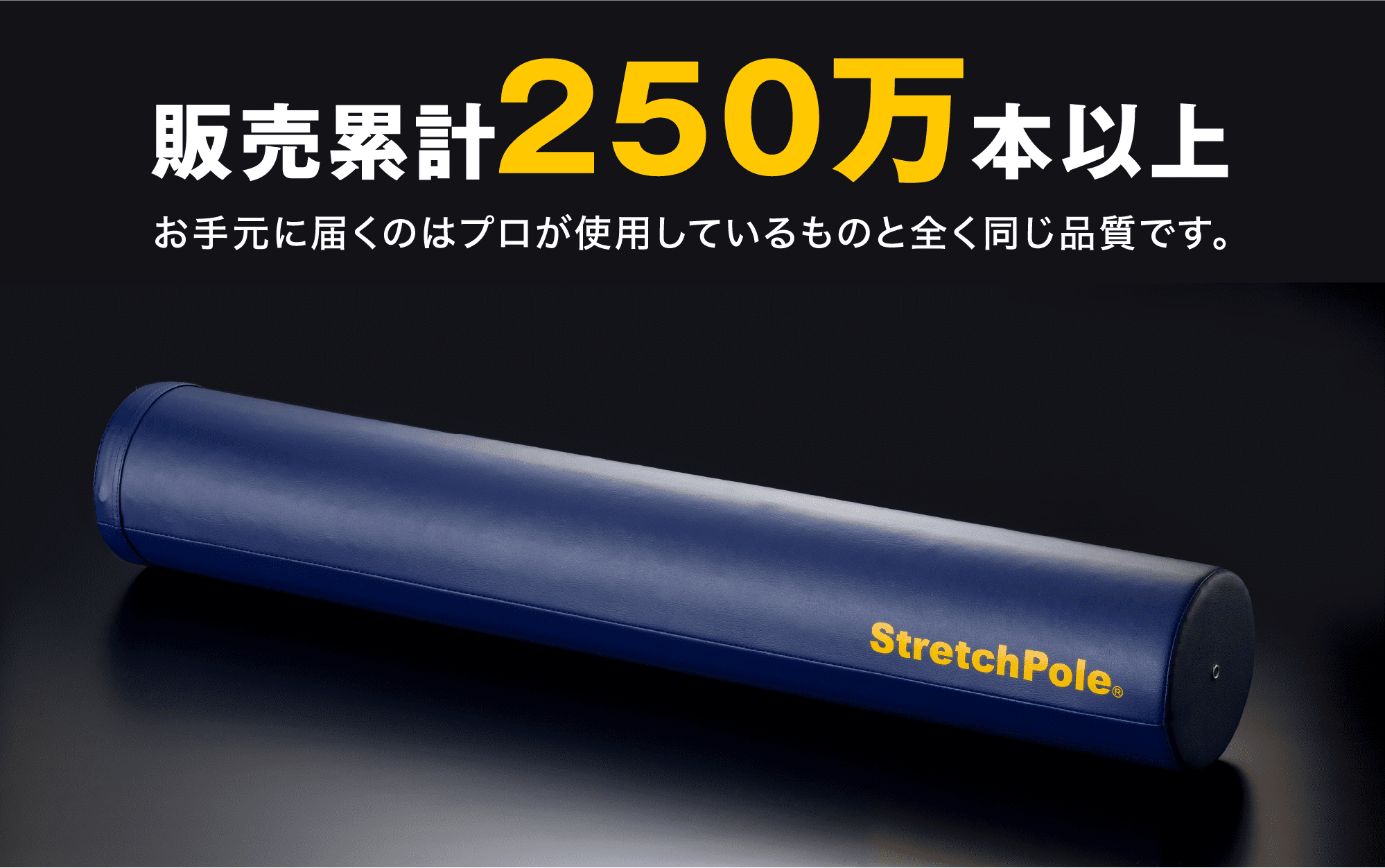 LPN SHOP / ストレッチポールMX(ネイビー)