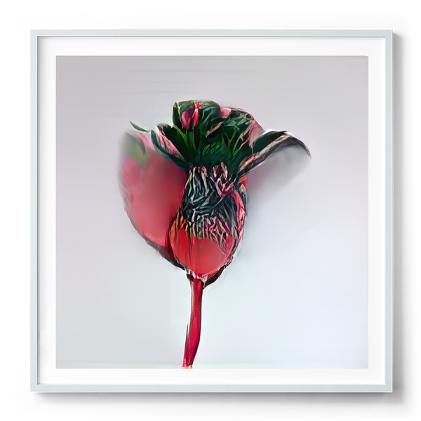 Mogens Jacobsen, Flora brain -decoded (MJ7) – LUCKY-EDITIONS / KKART