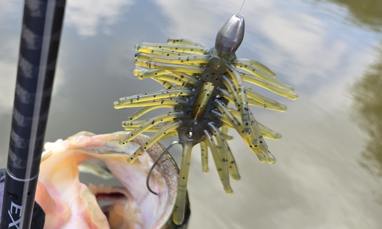 ティムコ｢ハリネズミ｣使用インプレッション。 – LureNote