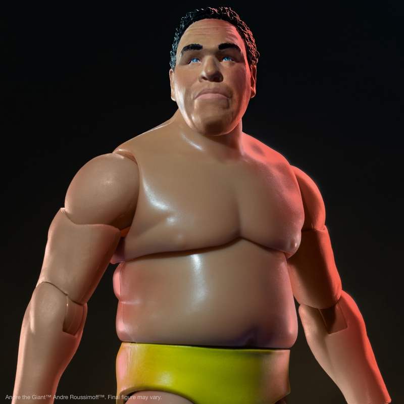 激レア)プロレスフィギュア アンドレザジャイアント 超希少 超激レア
