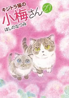 Hoshino Natsumi Manga | Buy Japanese Manga
