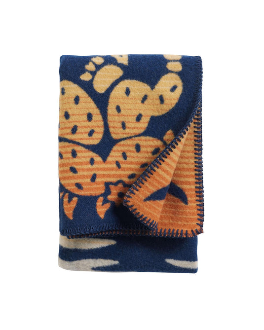 Pendleton Desert Dream Muchacho Wool Baby Blanket – Made In Oregon