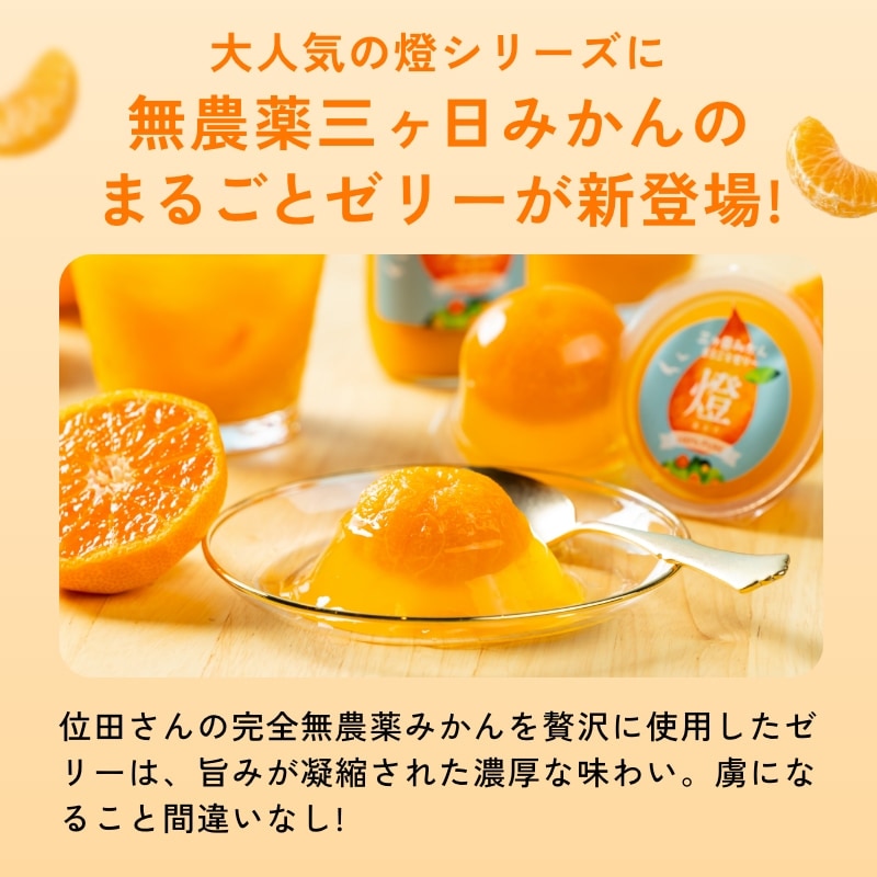燈ギフトセット 三ヶ日みかん100％ジュース180ml×8本 まるごと三ヶ日