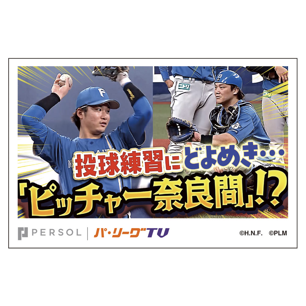 パテレ サムネイル・ステッカー [北海道日本ハムファイターズ・奈良間