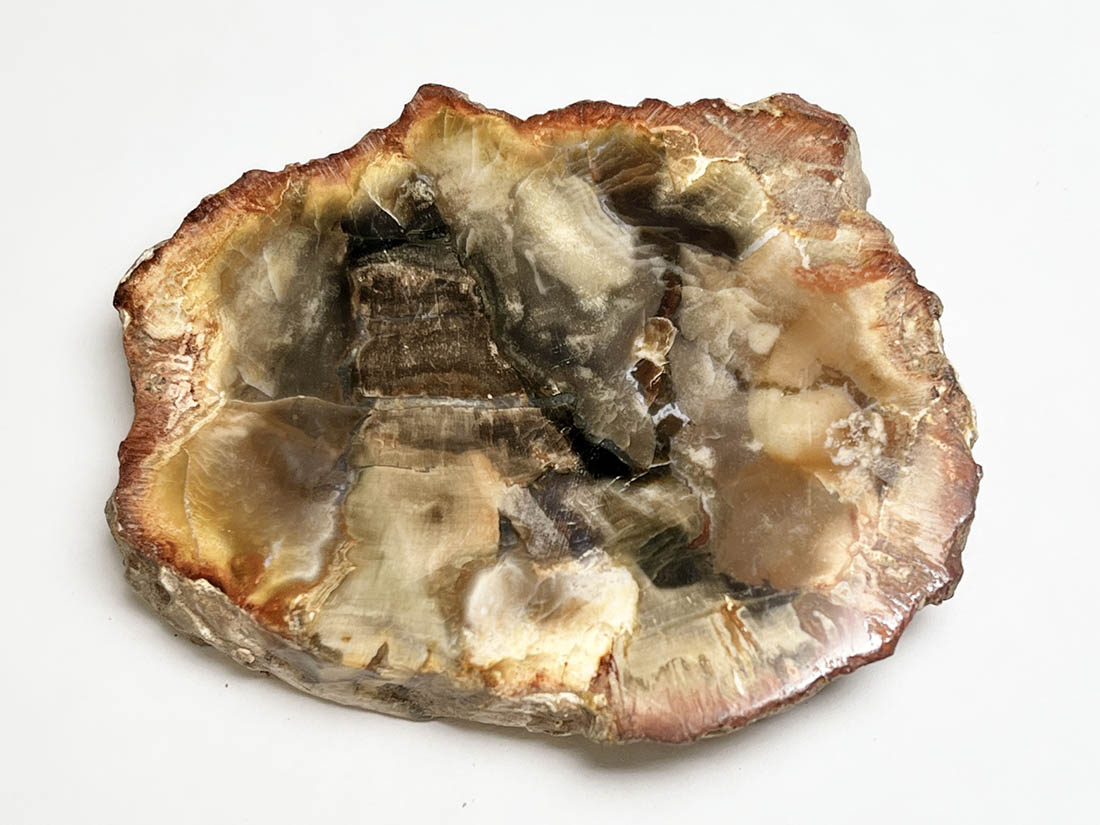匿名配送】天然石 化石 珪化木 ペトリファイドウッド スライス 匿名