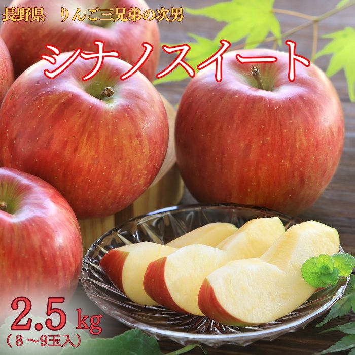 S313 りんご シナノスイート 約5kg(12～16玉) 10月中旬～10月下旬